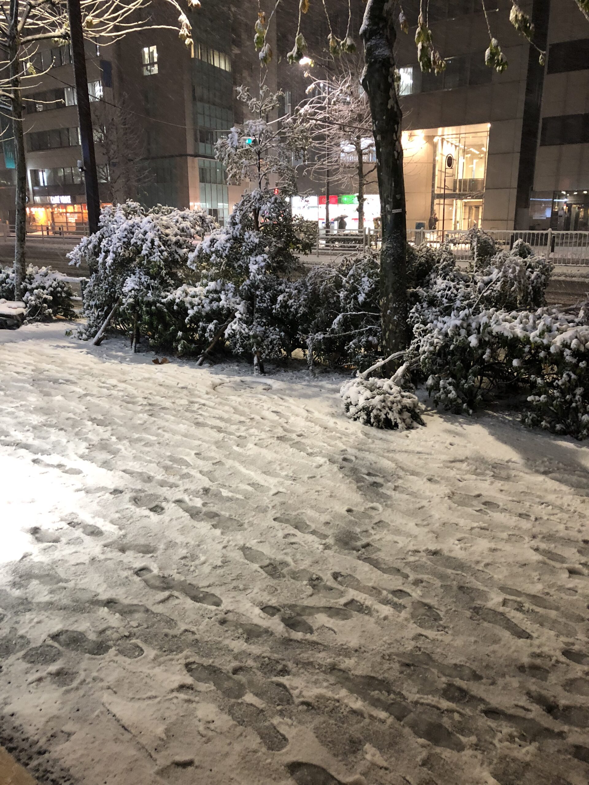 東京で大雪！